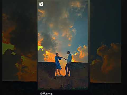 love birds best cute couple loving time