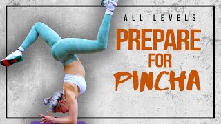 Prepare for Pincha Mayurasana- 45 Minute Yoga Class to Learn Forearmstand