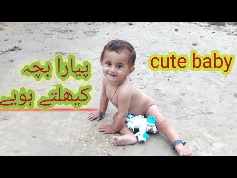 cuteness  /farid banisaii