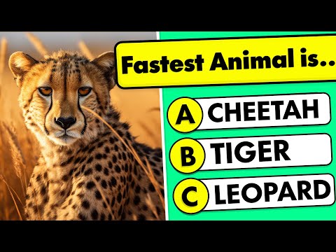 General Knowledge Quiz! 🐱🧠✅ Animal Edition