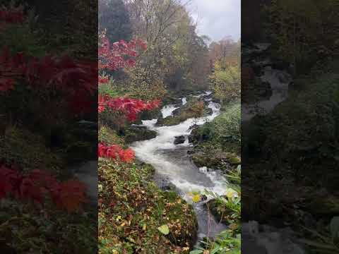 Beautiful nature 🍁 #nature #waterfall #waterfalls #waterfallsounds #asmr