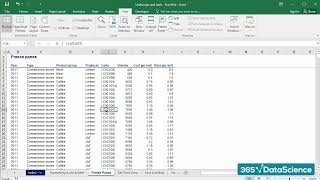 35 Using Excel's Freeze Panes to Handle Large Datasets #datascience
