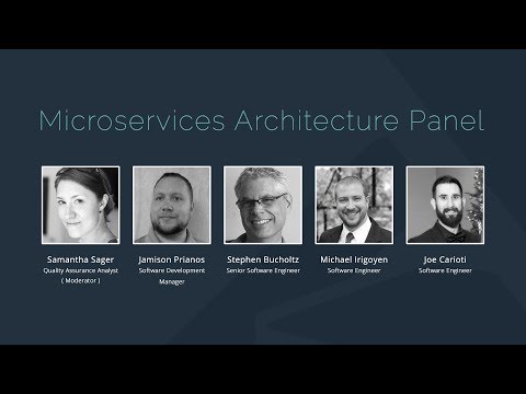 Microservice Architecture Panel