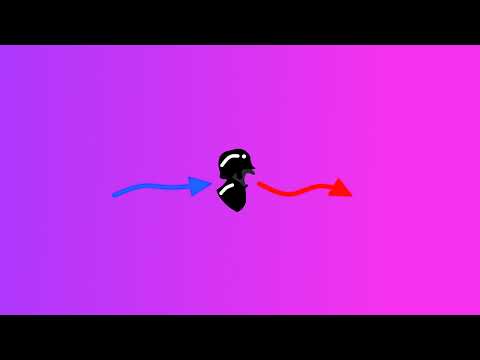 pigeoninanutshell Live Stream