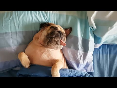 Feeling stressed? Taking a nap can help!