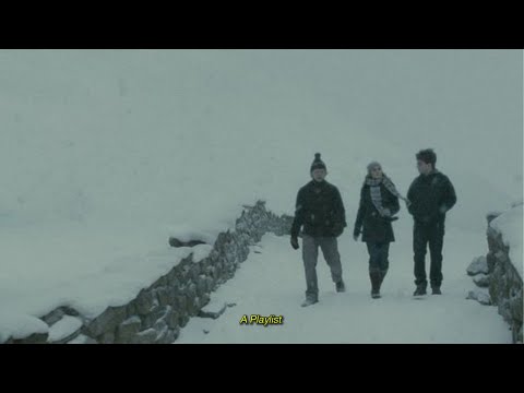 It's 1995 and You're Off to the Hog's Head Because Granger Mentioned a Secret Society at Hogwarts.