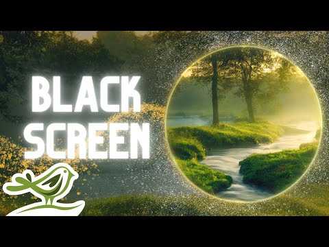 [NO ADS] Daydreaming | Relaxing Flute & Piano Music for Sleep with Water Sounds & Black Screen