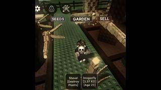 OP SCRIPT??#roblox #scripting #growagarden #viral #script #foryoupage #growagardenroblox
