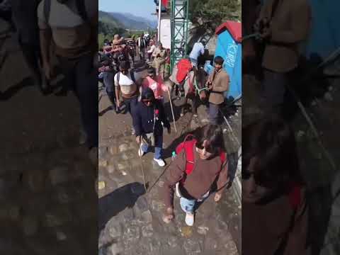 #kedarnath treck 2025#ytshorts#travel#minivlog#mountains