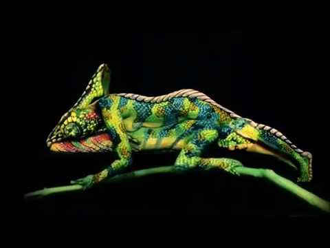 Unbelievable act !!!