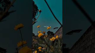 Talab Talab Talab 🥺🥀 #shorts #aesthetic #lyrics