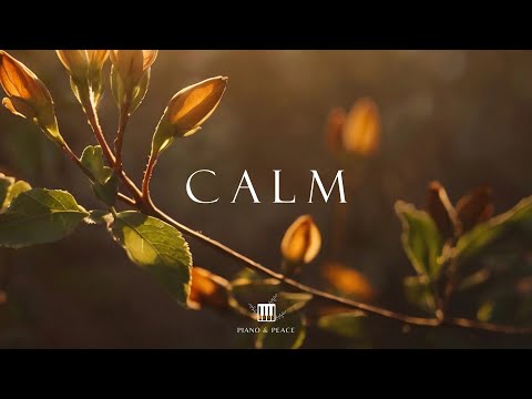 CALM - Soaking Worship Instrumental | Time With God