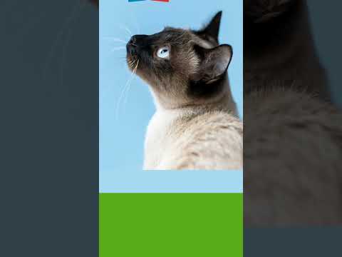 💧🌱#groundwater#LittleEinsteinsEastAfrica#STEAMLearning #Trending #Wednesday