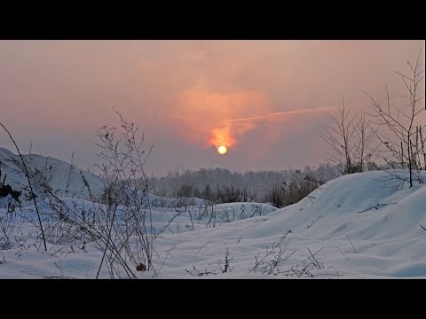 Relaxing Music, Meditation Music, Sleeping Music, Yoga Music, Spa Music ☯001 I Pete Miani MD DO