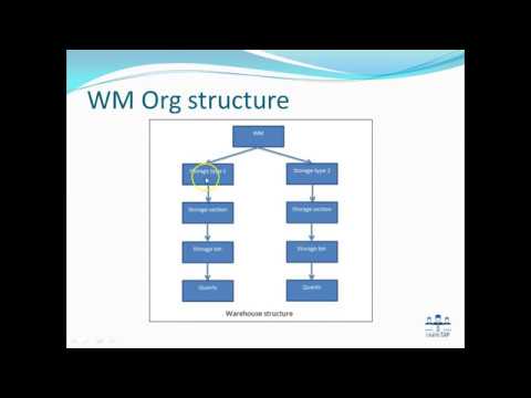 Overview and basics of SAP Warehouse Management