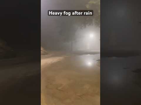 Heavy fog after rain in Jaipur #winter #rain #fog