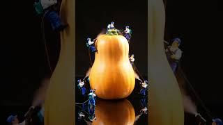 Know your food: Butternut Squash
