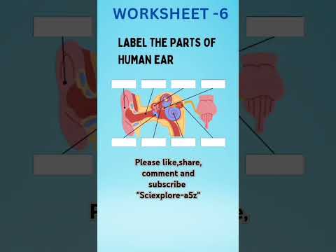 Human ear worksheet.Worksheet of Human ear 👆👆👆👆. #shorts #education #science #worksheet #biology