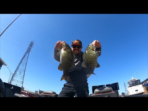 Small Fish on the Big Lake!? (CalSag Big Lake #1)