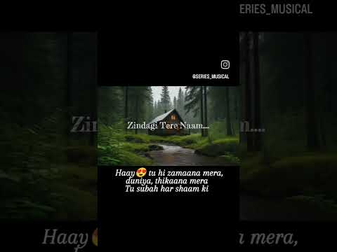 #zindagiterenaamki #zindagi #zamana #slowsongs #bollywoodlyrics #remixbollywoodsongs #terenaam #hits