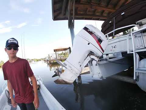 tarpon hits his head on dock #shorts #fishing #tarpon #funny