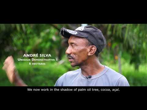 NaturaBrasil Palm Oil