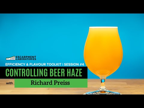 Controlling Beer Haze | Efficiency & Flavour Toolkit Series