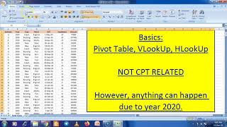 EXCEL EXTRAS (NOT CPT RELATED): Basics Pivot, VLookUp, HLookUp