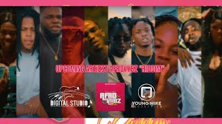 Upcoming Artiest AfroVybz ' Riddim ( Official Video Clip ) Prod. By Digital Vincent