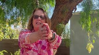 Why Nonviolent Communication matters to me | Mary Mackenzie | A Journey from the Heart 2026