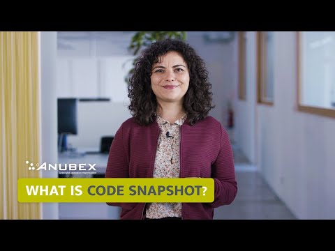 What Is a Code Snapshot ?