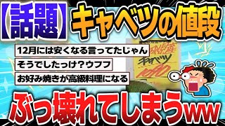 【５ｃｈスレまとめ】キャベツの値段ぶっ壊れてしまう…ｗ【ゆっくり】