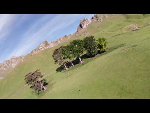 Te Mata Chasing day