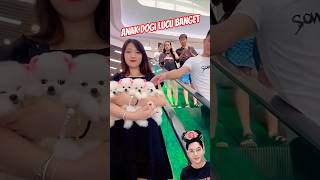 CUTE DOG⁉️ EVERYONE WANTS TO ASK FOR 😱😍