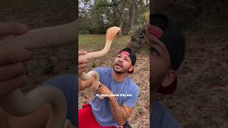 snake bite for man. #short #snake