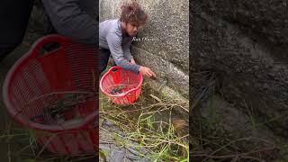 They came out just in time #Shorts #YouTubeShorts #USA #DailyTips #LearnOnYouTube #fishing