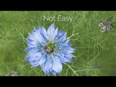 Ignore the Quick Fix Photography Advice