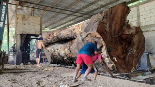 A Shocking Incident While Sawing a Large Hole in the Middle of a Suar Tree