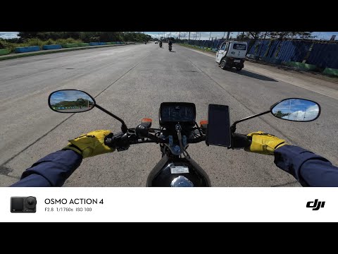 Beetle Diaries EP6: SIDE TRIPS PT. 1