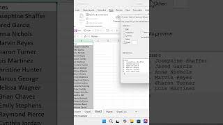 Day 13: How to Separate Text to Columns #excel #exceldataanalytics #datasheet