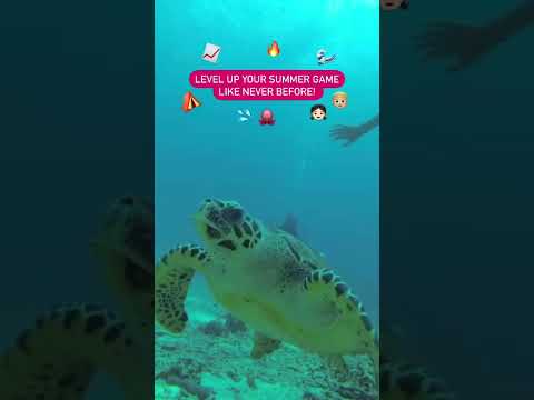 LEVEL UP YOUR SUMMER GAME WITH BIG OCEAN DIVE