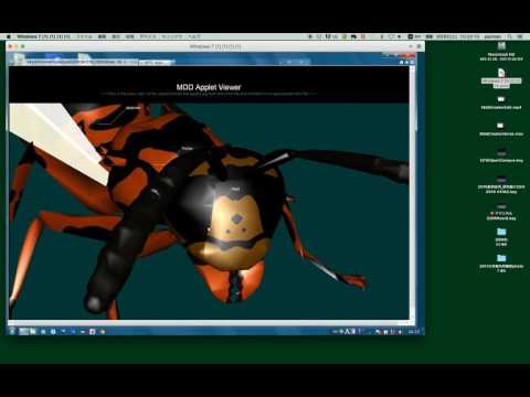 MDD creator OUTPUT (HTMLdemo)
