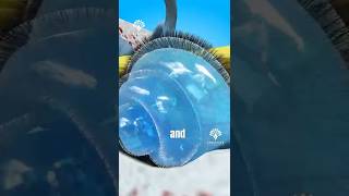 How Hearing Actually Works 😲 | Creative Learning 3D