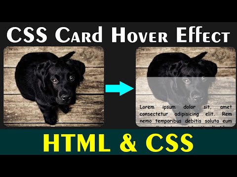 How to Create Cards Design Using HTML and CSS