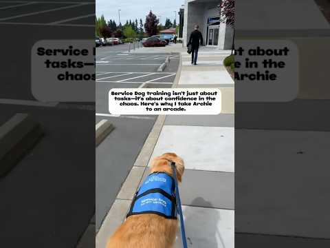 Why I train my Service Dog in a local arcade. #servicedog #dogshorts