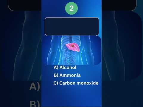Can You Pass This Human Body Quiz? #quiz #humanbody #shorts #ytshorts #youtubeshorts