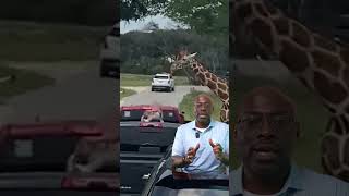 Zoo Visit Takes a Turn #attorneyreacts #attorney