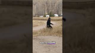 Bigfoot Sighting Captured By Bikers On Yosemite Trail