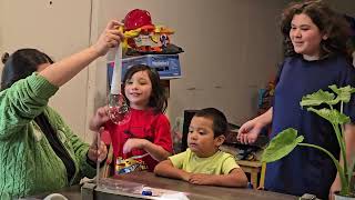 Bubble Science Experiment