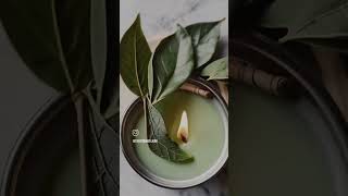 Manifest Your Dreams, Law Of Attraction, Wish Fulfillment, Spiritual Growth, Personal Development